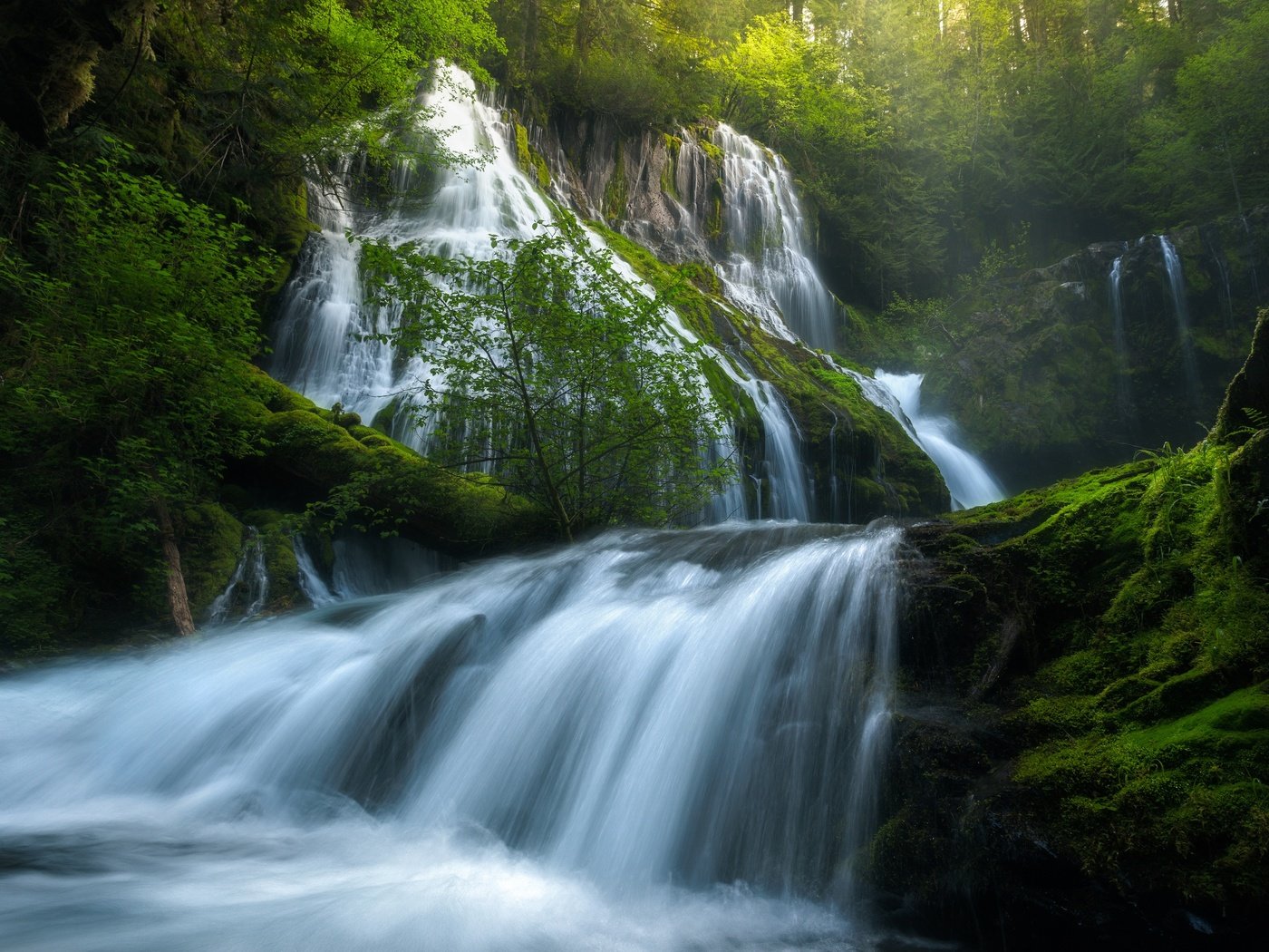 Обои река, panther creek falls, природа, зелень, лес, лето, водопад, сша, весна, river, nature, greens, forest, summer, waterfall, usa, spring разрешение 2500x1731 Загрузить