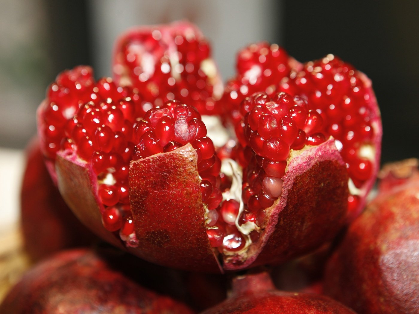 Обои макро, фрукты, зерна, гранат, pomegranates, fruchthandel_magazin, macro, fruit, grain, garnet разрешение 5616x3744 Загрузить