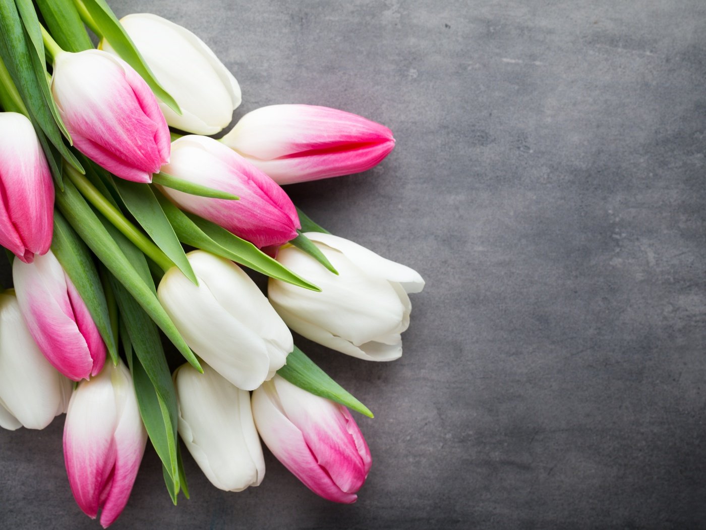 Обои цветы, букет, тюльпаны, розовые, белые, flowers, bouquet, tulips, pink, white разрешение 5472x3648 Загрузить