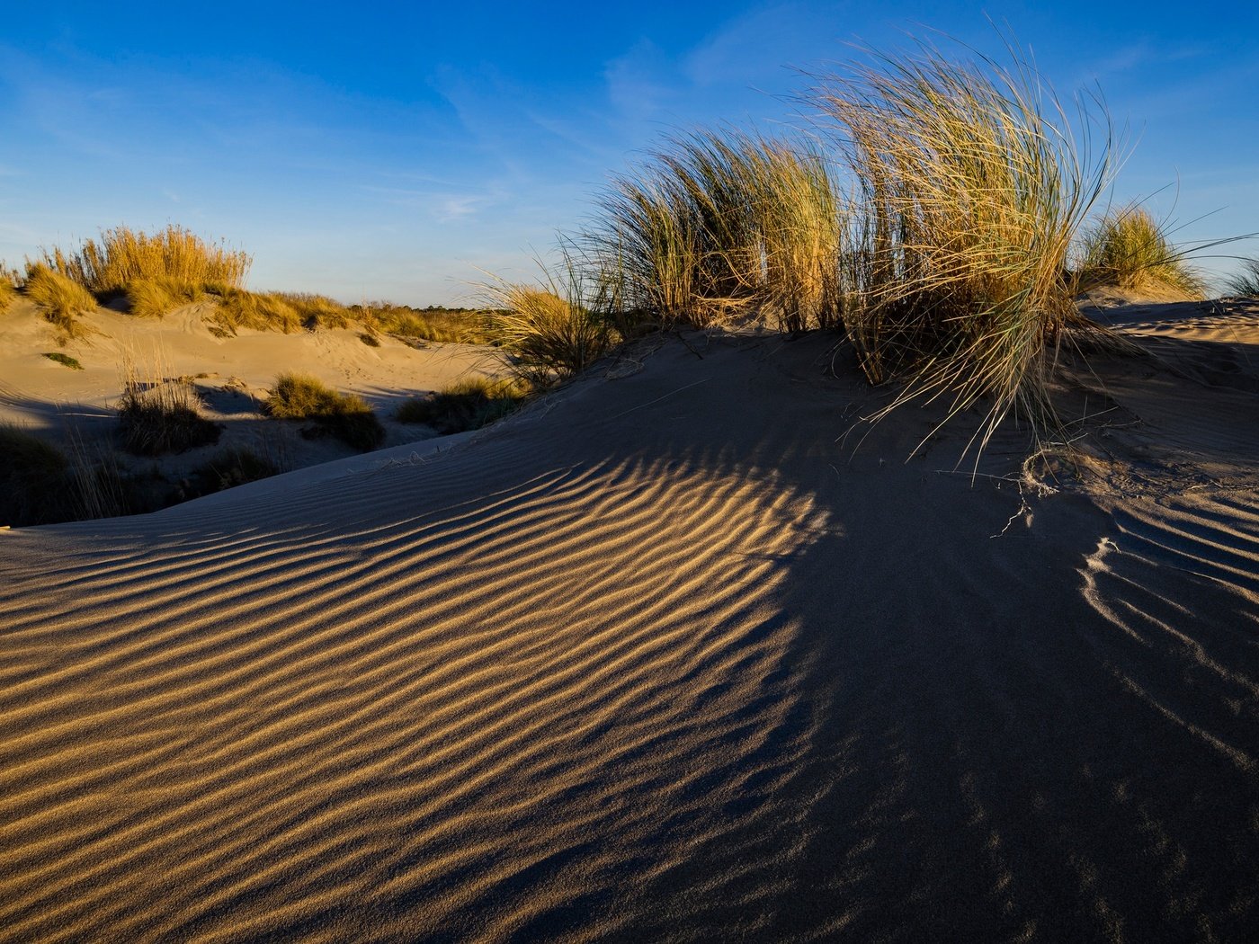 Обои трава, песок, франция, дюны, ле гро-дю-руа, grass, sand, france, dunes, le grau-du-roi разрешение 2048x1367 Загрузить