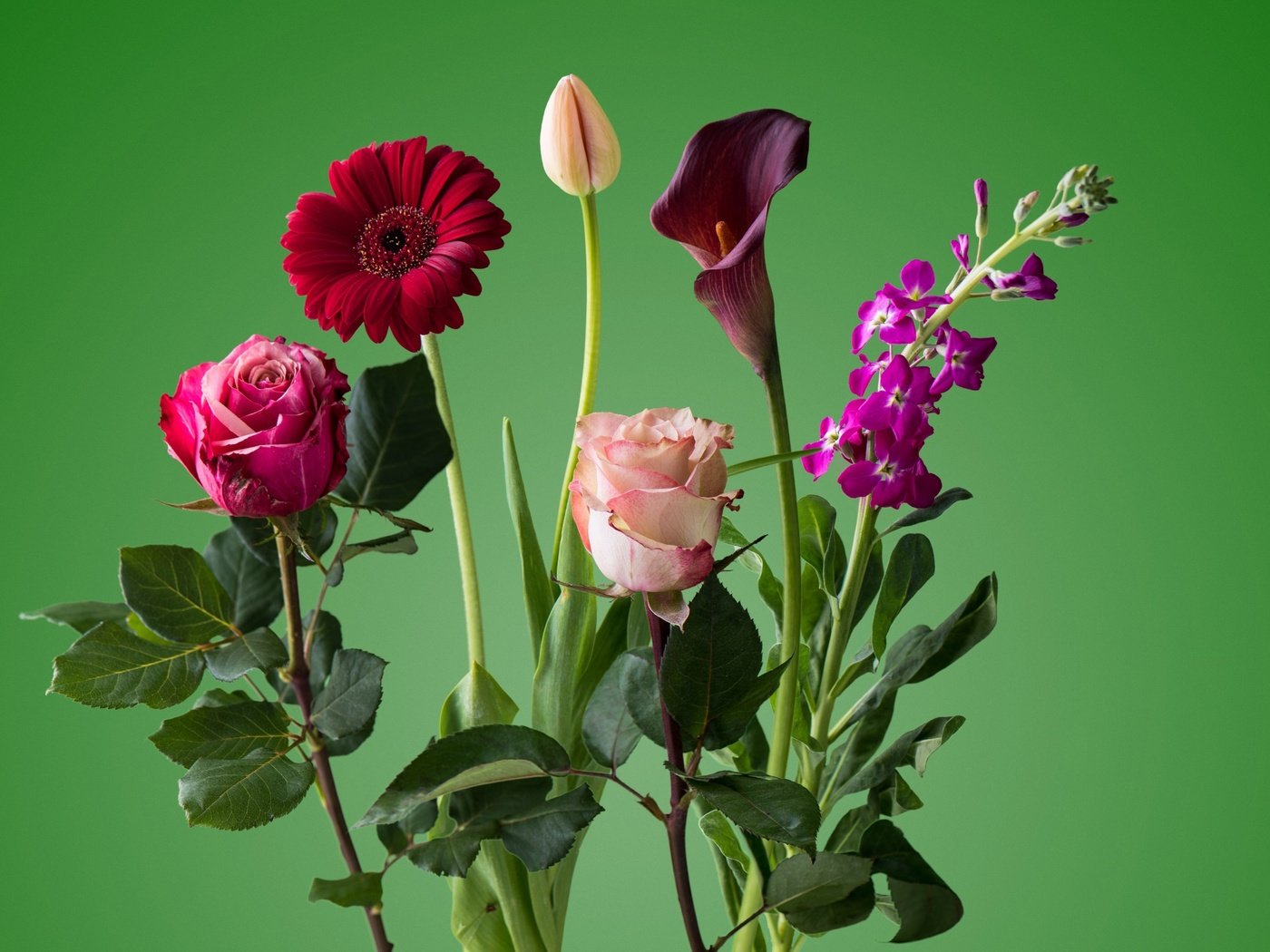 Обои цветы, роза, лепестки, букет, тюльпан, стебель, гербера, flowers, rose, petals, bouquet, tulip, stem, gerbera разрешение 2868x1600 Загрузить