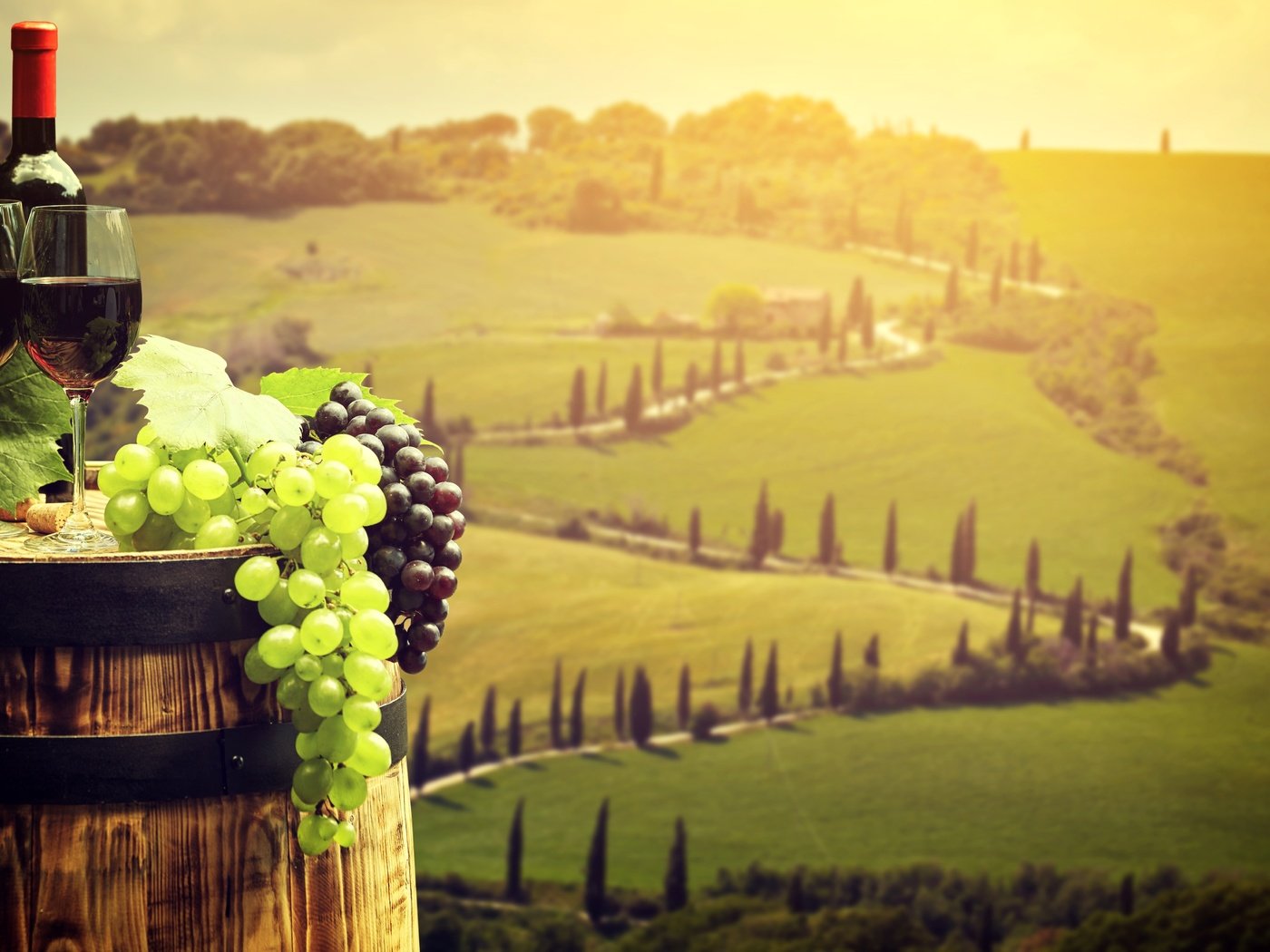 Обои виноград, тоскана, пейзаж, поля, италия, вино, бутылка, бокалы, бочка, grapes, tuscany, landscape, field, italy, wine, bottle, glasses, barrel разрешение 5616x3414 Загрузить