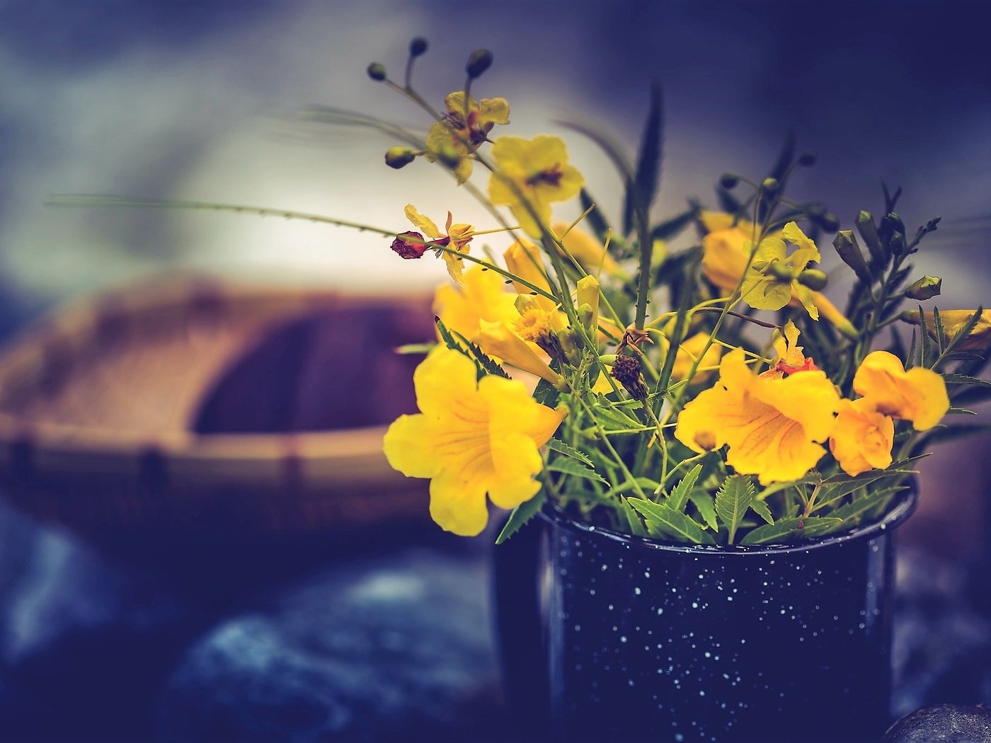 Обои цветы, кружка, желтые, букетик, flowers, mug, yellow, a bunch разрешение 2048x1365 Загрузить