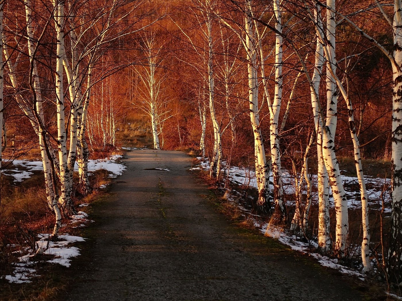 Обои дорога, деревья, снег, березы, весна, road, trees, snow, birch, spring разрешение 1920x1280 Загрузить