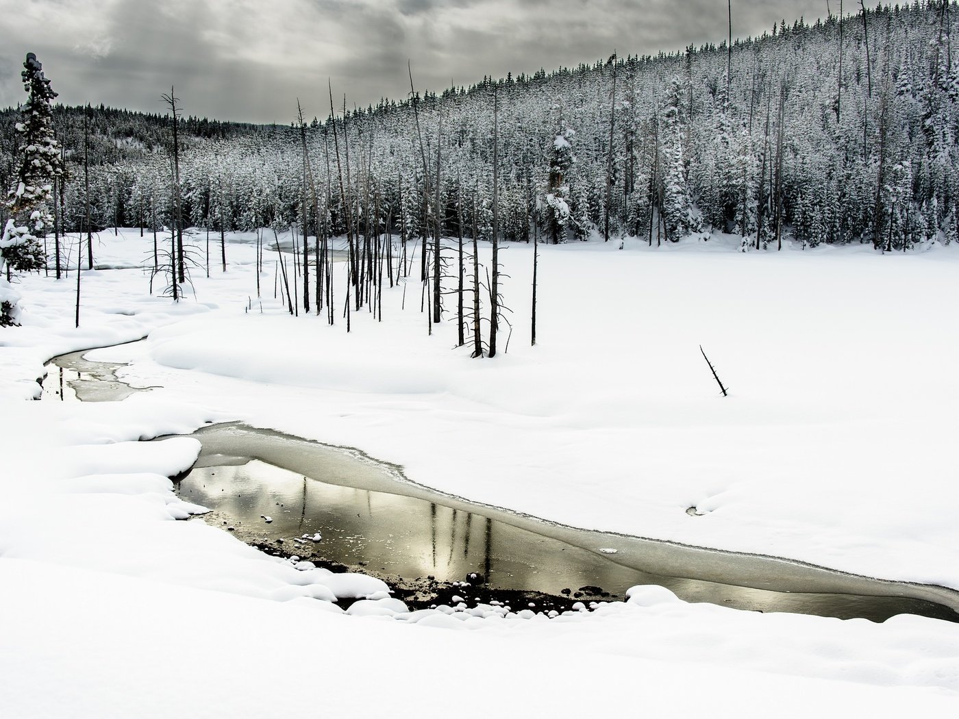 Обои деревья, вода, река, снег, лес, зима, trees, water, river, snow, forest, winter разрешение 2048x1363 Загрузить