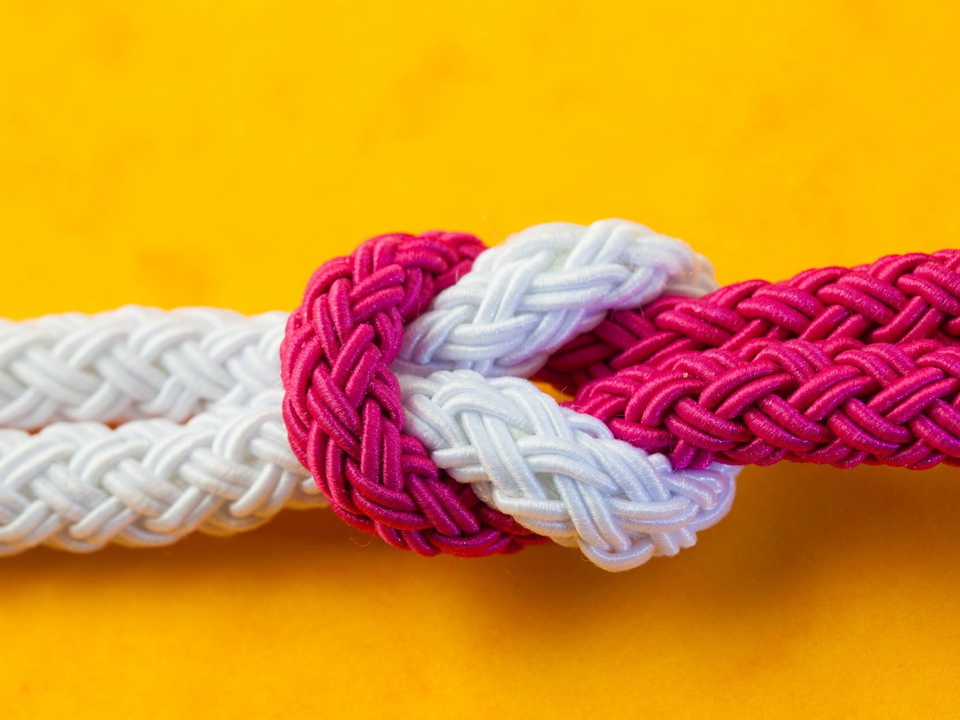 Обои фон, узел, цвет, верёвки, петля, background, node, color, rope, loop разрешение 2047x1219 Загрузить