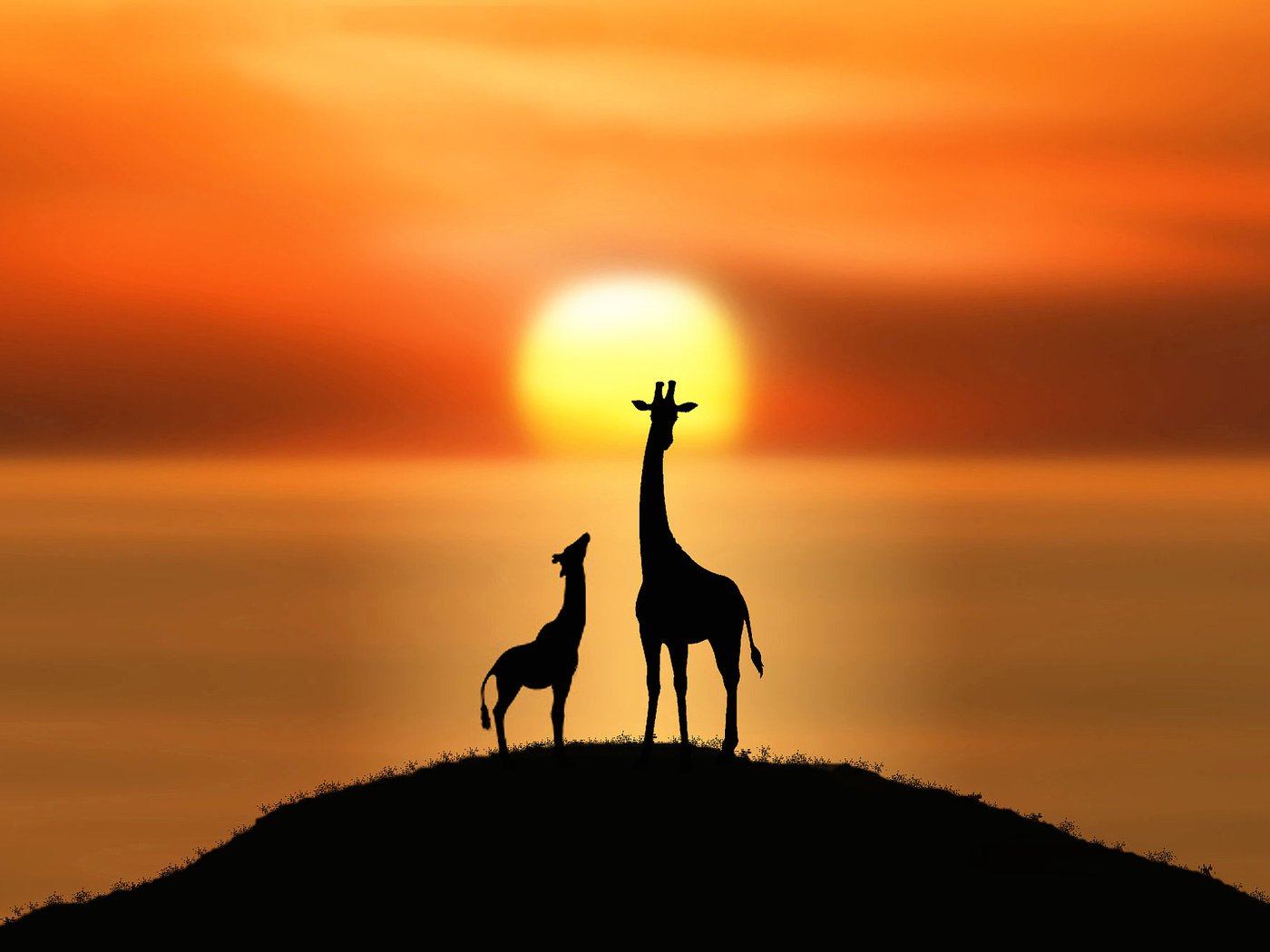 Обои солнце, силуэты, холм, жирафы, the sun, silhouettes, hill, giraffes разрешение 2000x1336 Загрузить