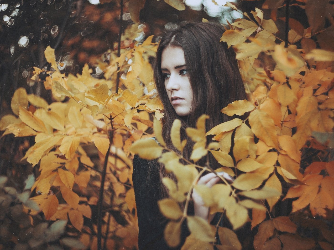 Обои природа, листья, девушка, брюнетка, взгляд, осень, nature, leaves, girl, brunette, look, autumn разрешение 2048x1367 Загрузить