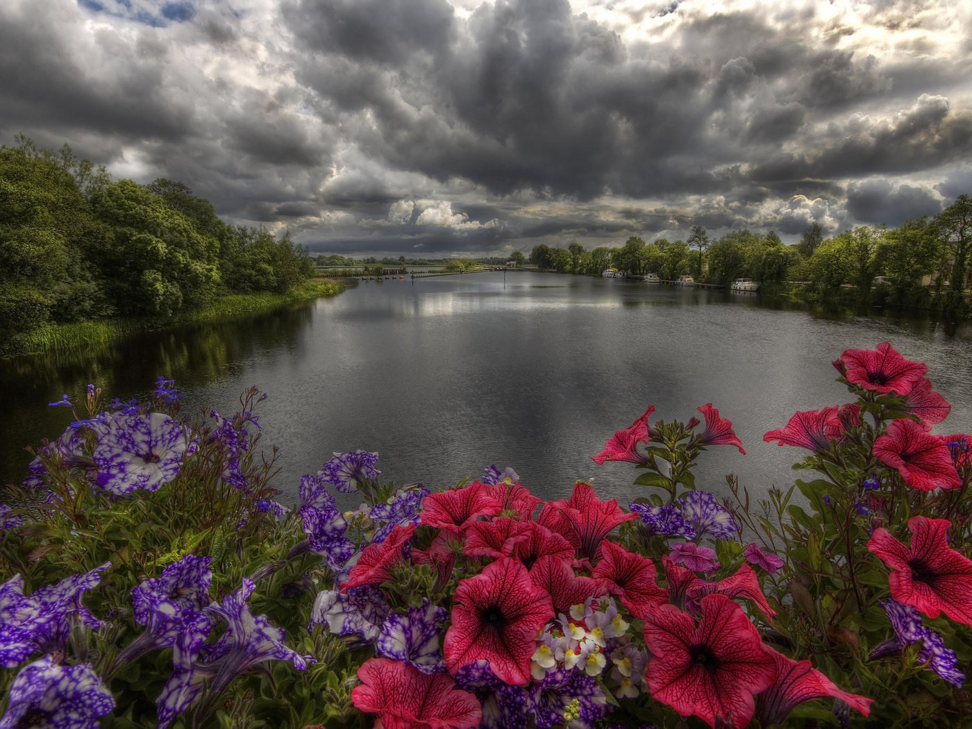 Обои цветы, деревья, река, берег, закат, тучи, пейзаж, flowers, trees, river, shore, sunset, clouds, landscape разрешение 2048x1365 Загрузить