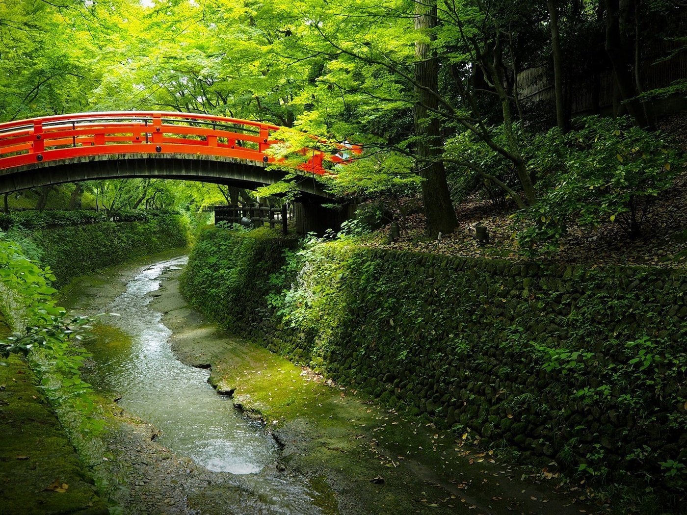 Обои деревья, вода, мостик, парк, канал, япония, trees, water, the bridge, park, channel, japan разрешение 2048x1152 Загрузить