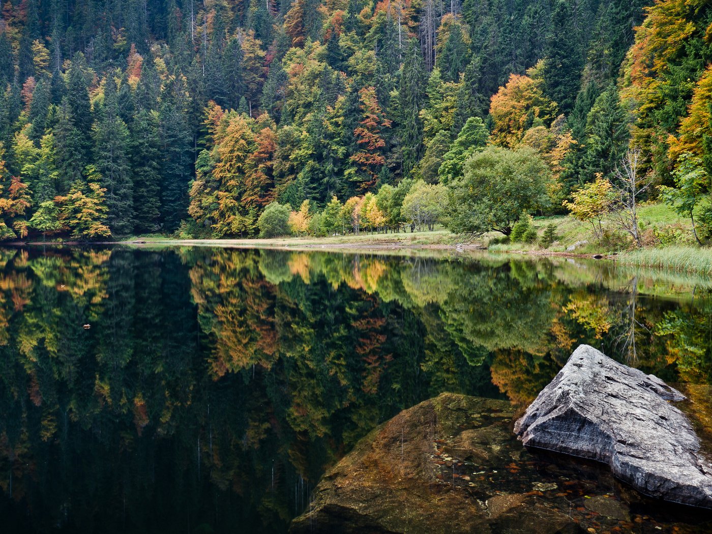 Обои озеро, природа, камни, отражение, пейзаж, леса, lake, nature, stones, reflection, landscape, forest разрешение 4285x2411 Загрузить