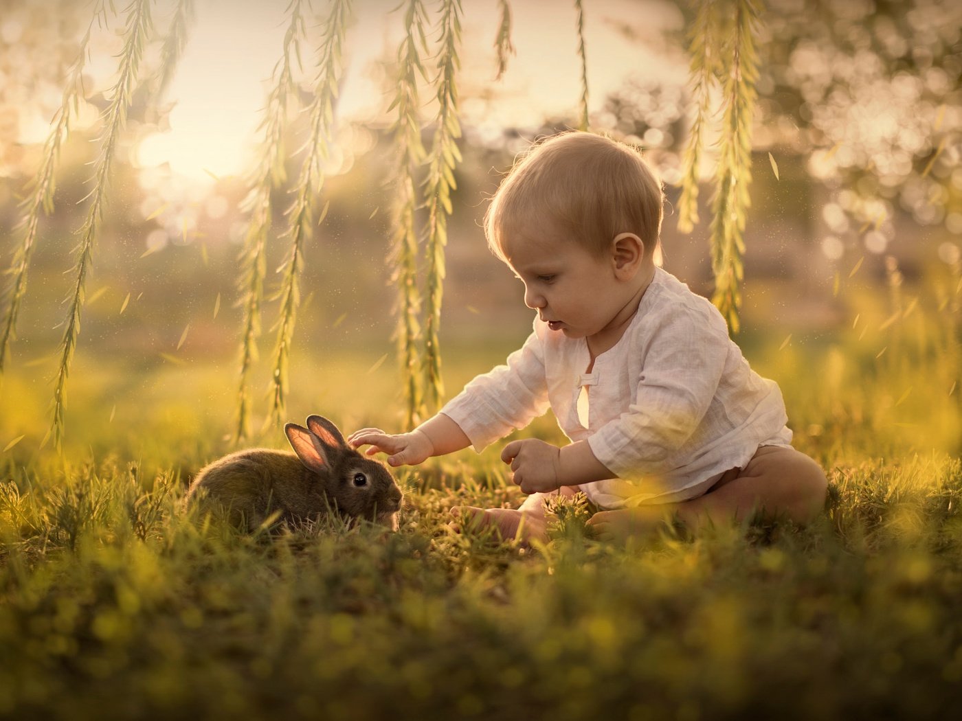 Обои трава, sveta butko, природа, ветки, дети, ребенок, кролик, животное, малыш, grass, nature, branches, children, child, rabbit, animal, baby разрешение 2048x1365 Загрузить