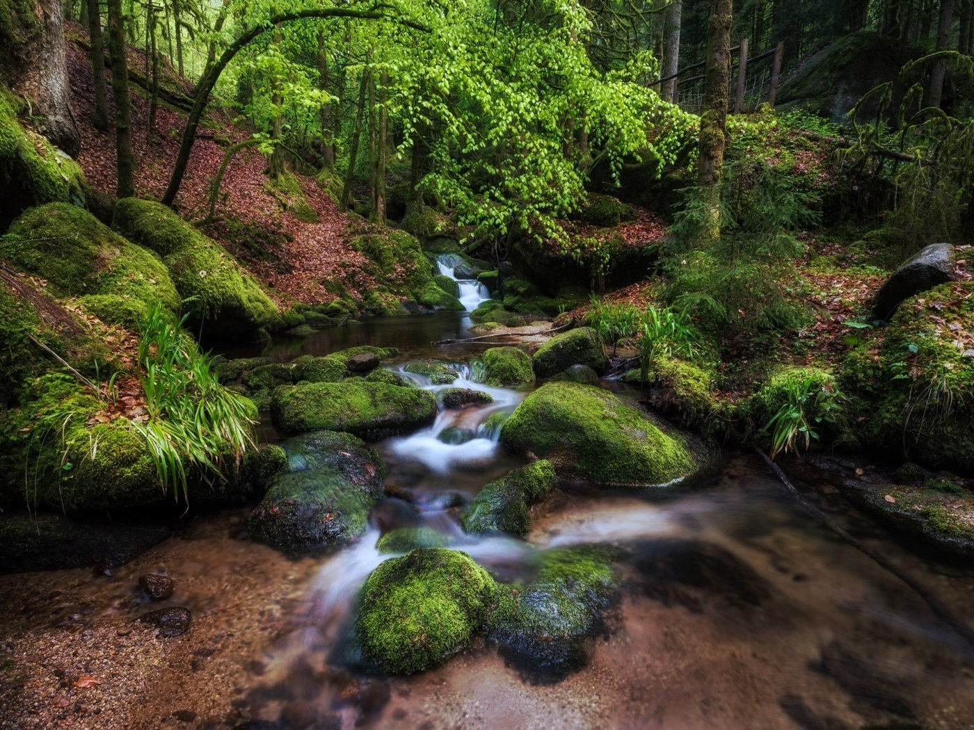 Обои деревья, камни, лес, ручей, мох, trees, stones, forest, stream, moss разрешение 2048x1280 Загрузить