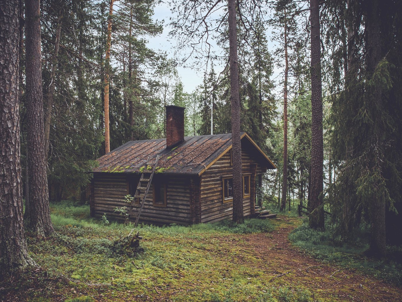 Обои деревья, природа, лес, домик, сторожка, trees, nature, forest, house, lodge разрешение 2880x1800 Загрузить