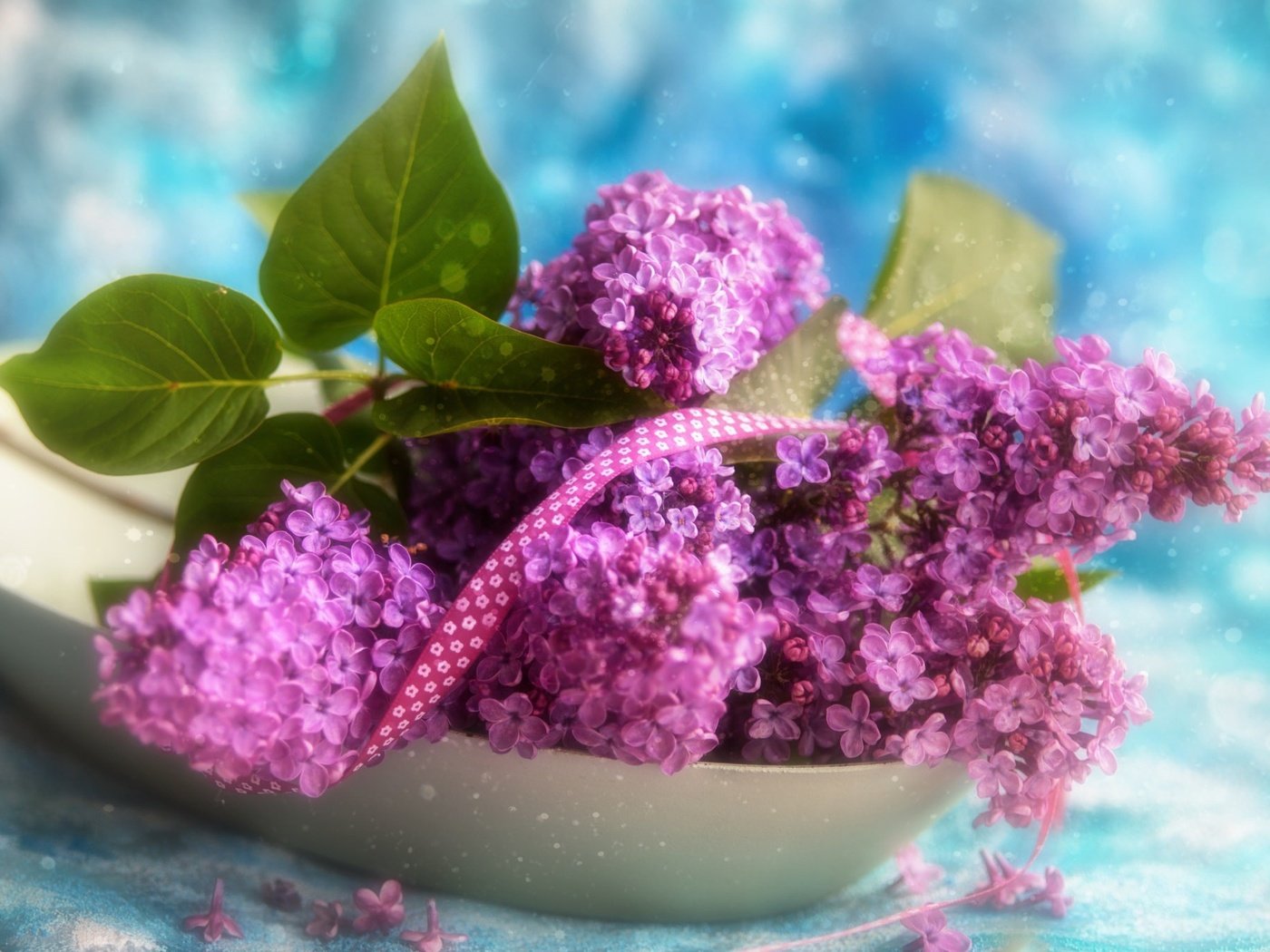 Обои цветы, ветки, лента, букетик, сирень, боке, тесьма, flowers, branches, tape, a bunch, lilac, bokeh, braid разрешение 2048x1362 Загрузить