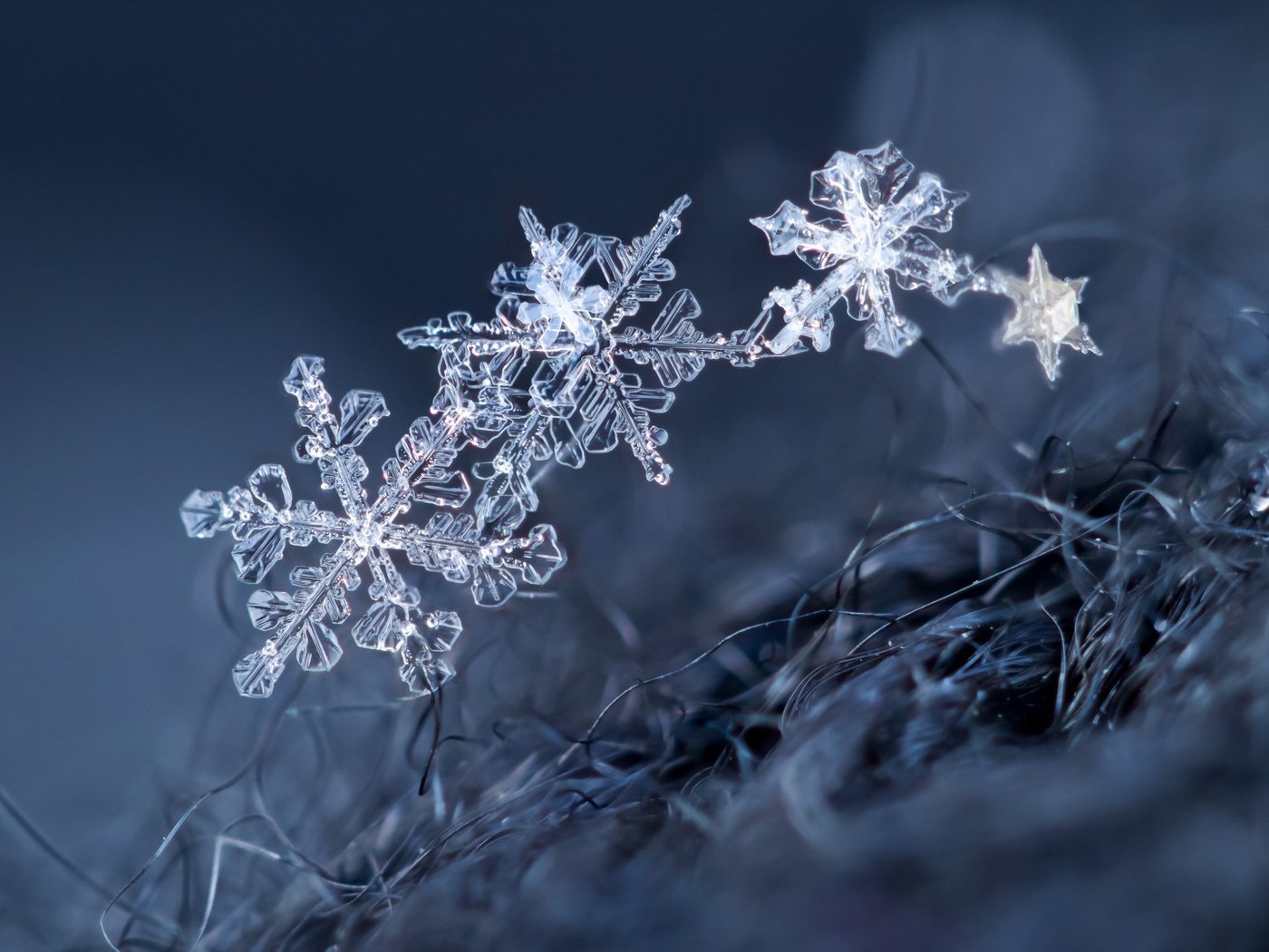 Обои макро, снежинки, фон, снежинка, кристаллы, macro, snowflakes, background, snowflake, crystals разрешение 2560x1707 Загрузить