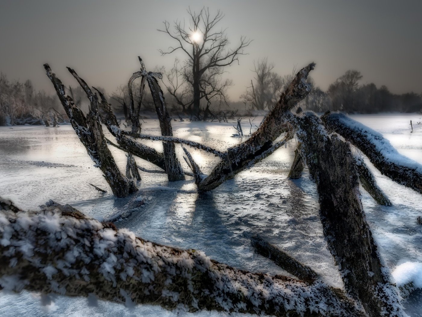 Обои деревья, озеро, зима, лёд, холод, trees, lake, winter, ice, cold разрешение 2048x1372 Загрузить