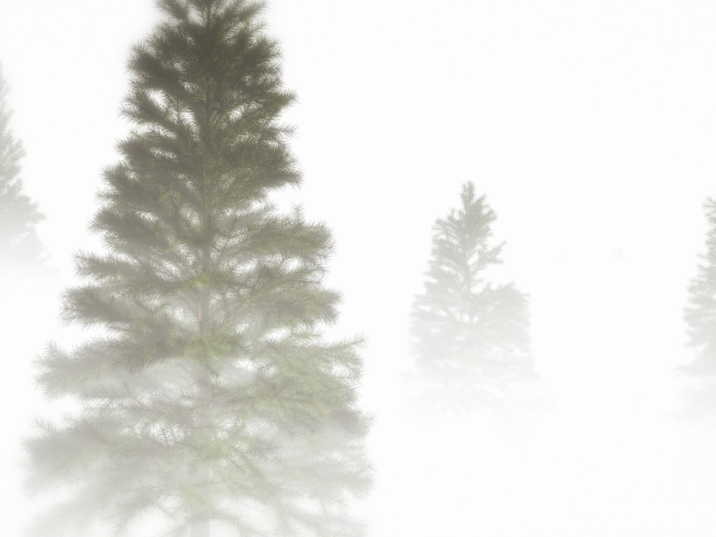 Обои природа, дерево, туман, ель, крона, nature, tree, fog, spruce, crown разрешение 3368x1901 Загрузить
