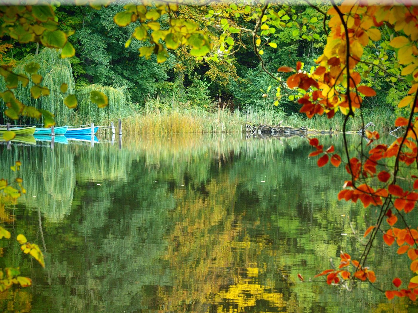 Обои озеро, природа, лес, отражение, осень, лодки, lake, nature, forest, reflection, autumn, boats разрешение 1920x1200 Загрузить