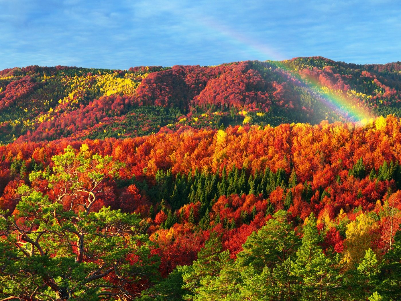 Обои горы, природа, лес, осень, радуга, карпаты, mountains, nature, forest, autumn, rainbow, carpathians разрешение 2880x1800 Загрузить