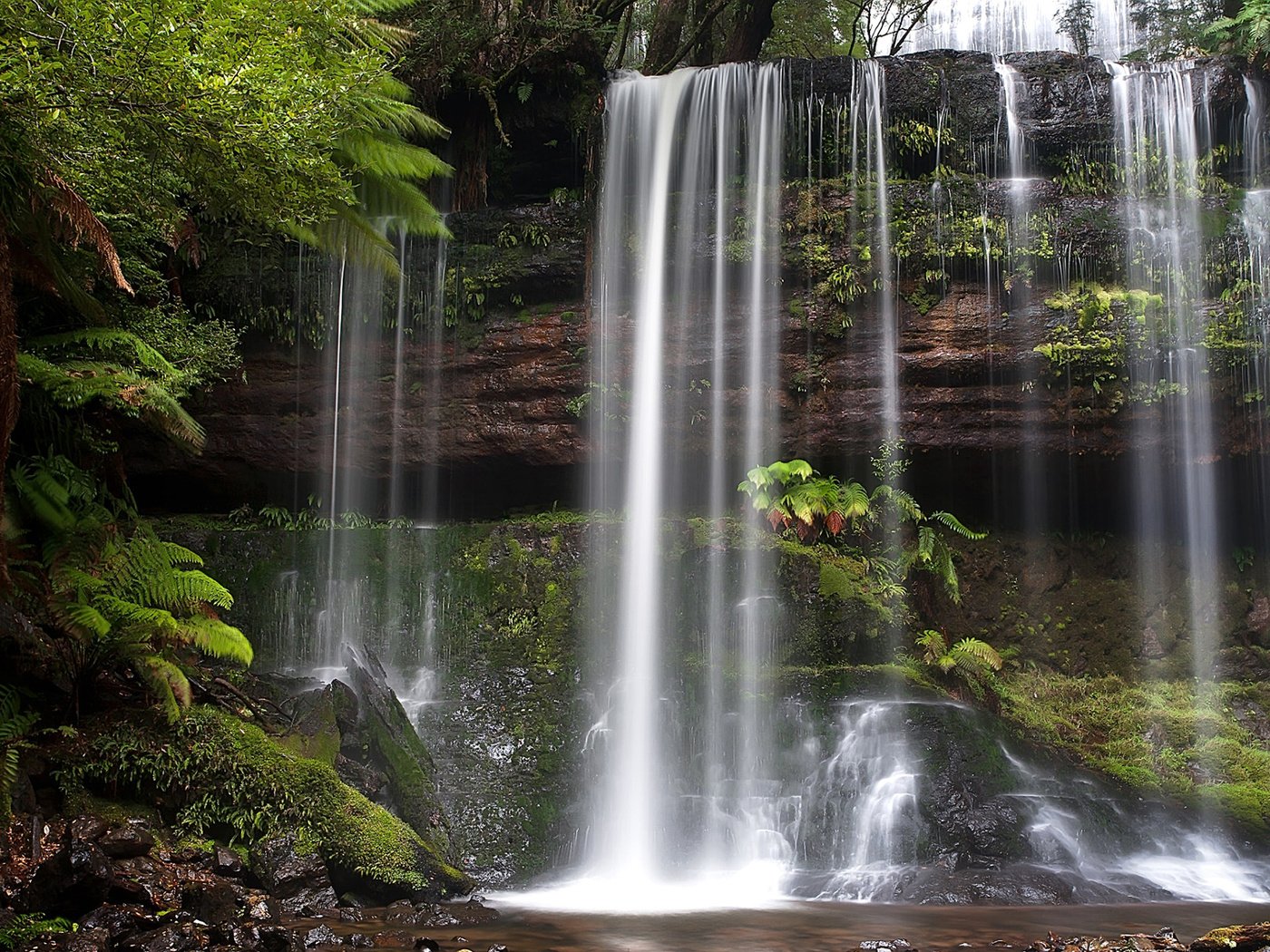 Обои водопад, австралия, тасмания, russell falls, mount field national park, waterfall, australia, tasmania разрешение 1920x1200 Загрузить