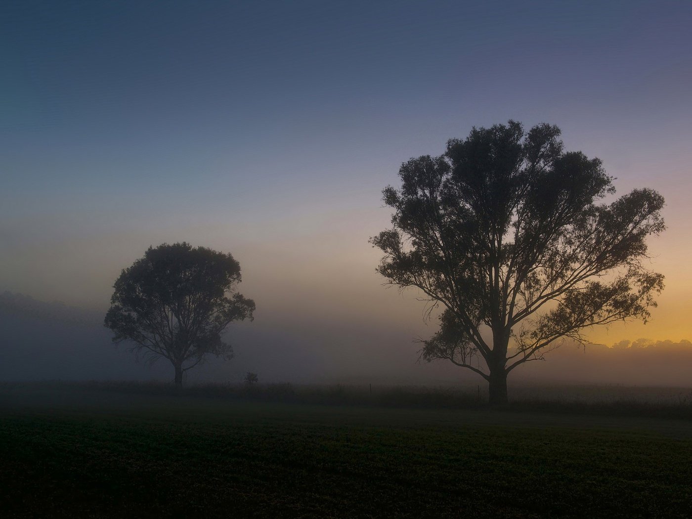 Обои деревья, утро, туман, поле, рассвет, лето, trees, morning, fog, field, dawn, summer разрешение 2048x1367 Загрузить