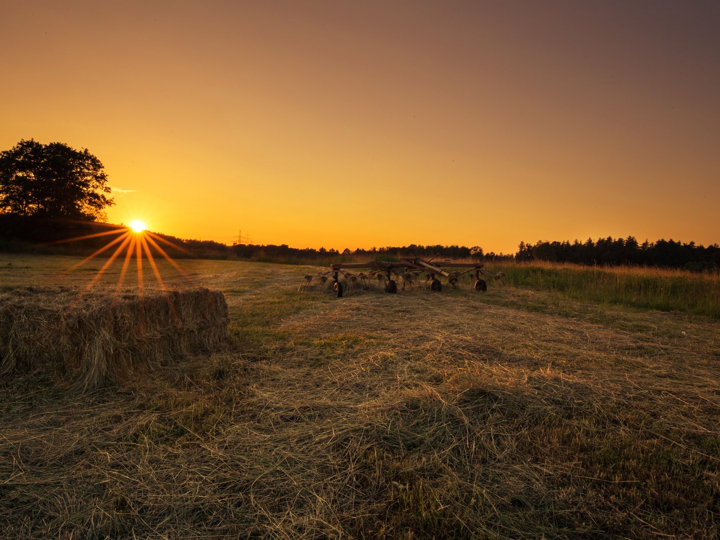 Обои трава, солнце, закат, поле, lena held, grass, the sun, sunset, field разрешение 5472x3648 Загрузить