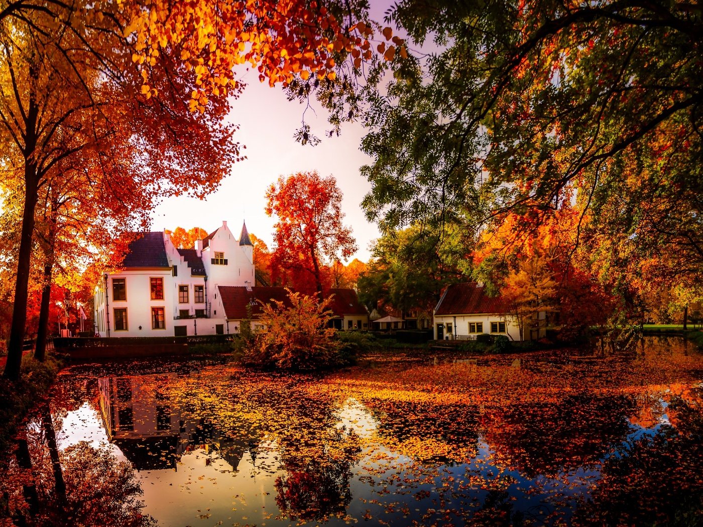 Обои деревья, природа, отражение, осень, дома, пруд, trees, nature, reflection, autumn, home, pond разрешение 3641x2048 Загрузить