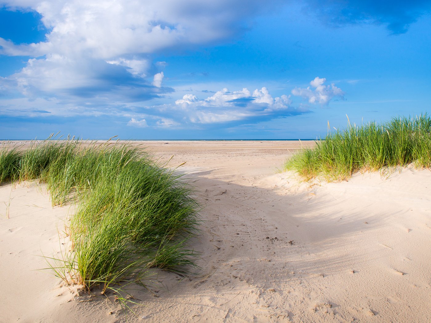 Обои небо, трава, облака, пейзаж, песок, дюны, the sky, grass, clouds, landscape, sand, dunes разрешение 1920x1200 Загрузить