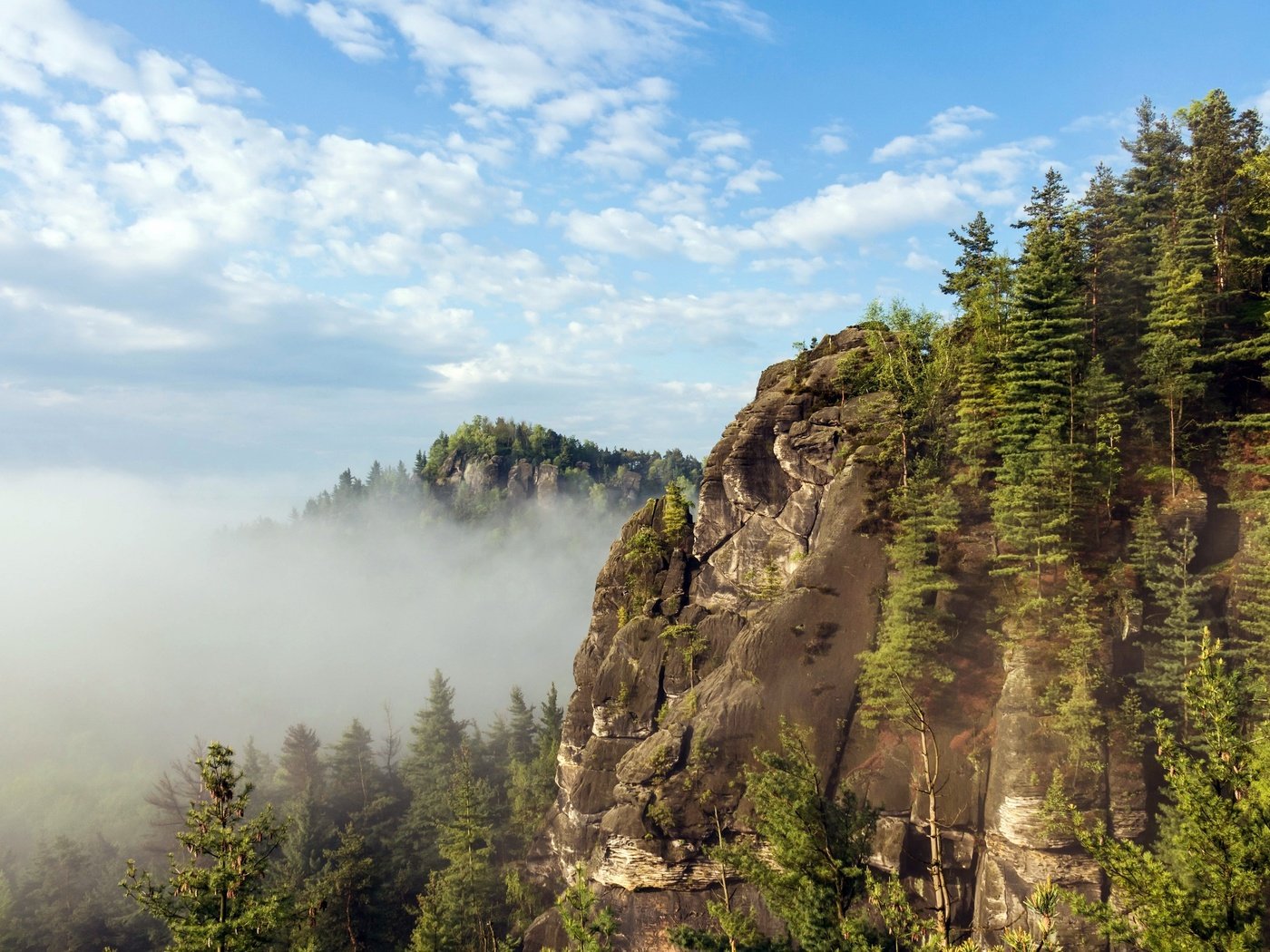 Обои небо, облака, деревья, горы, утро, туман, the sky, clouds, trees, mountains, morning, fog разрешение 2560x1699 Загрузить