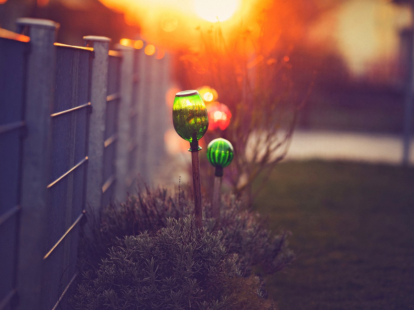 Обои макро, кусты, забор, боке, светильники, macro, the bushes, the fence, bokeh, lamps разрешение 1920x1200 Загрузить