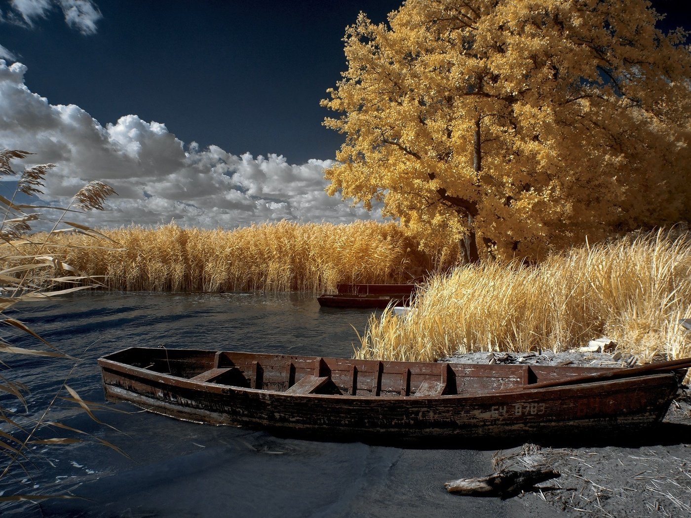 Обои небо, облака, деревья, вода, пейзаж, осень, лодка, камыши, the sky, clouds, trees, water, landscape, autumn, boat, the reeds разрешение 2000x1329 Загрузить