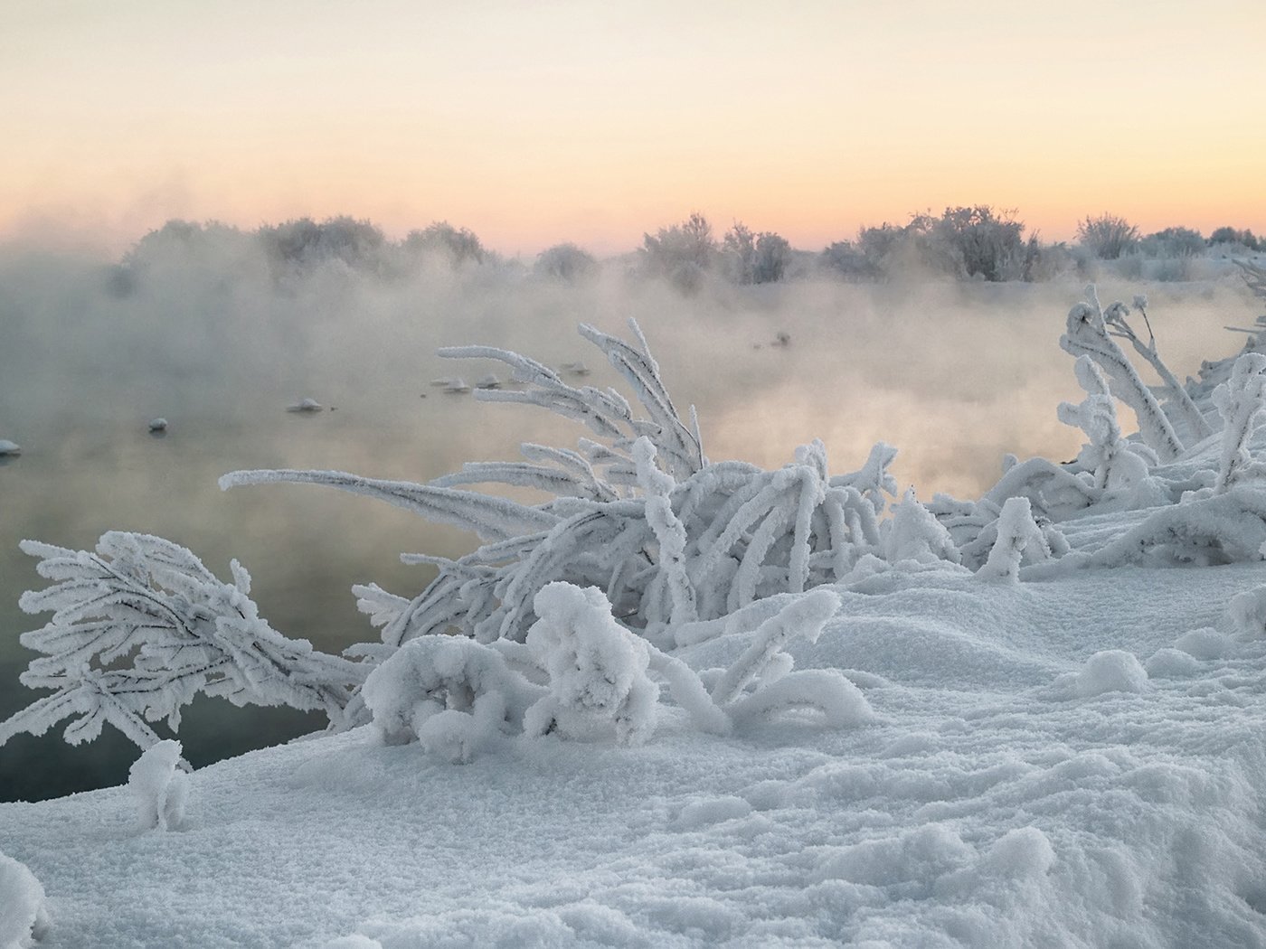 Обои река, снег, природа, растения, зима, туман, кусты, иней, river, snow, nature, plants, winter, fog, the bushes, frost разрешение 1920x1200 Загрузить