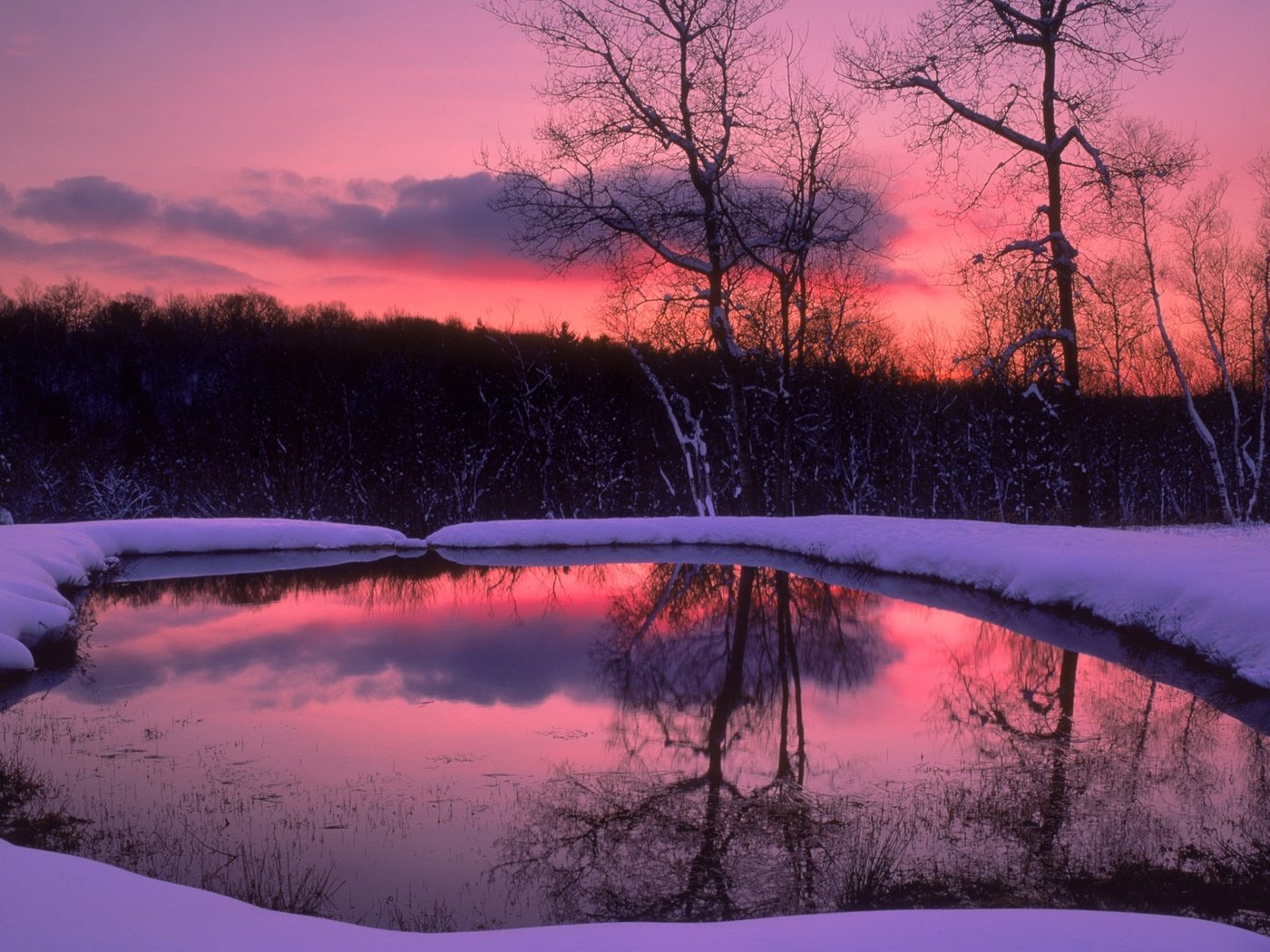 Обои деревья, вечер, озеро, снег, лес, зима, отражение, trees, the evening, lake, snow, forest, winter, reflection разрешение 1920x1080 Загрузить