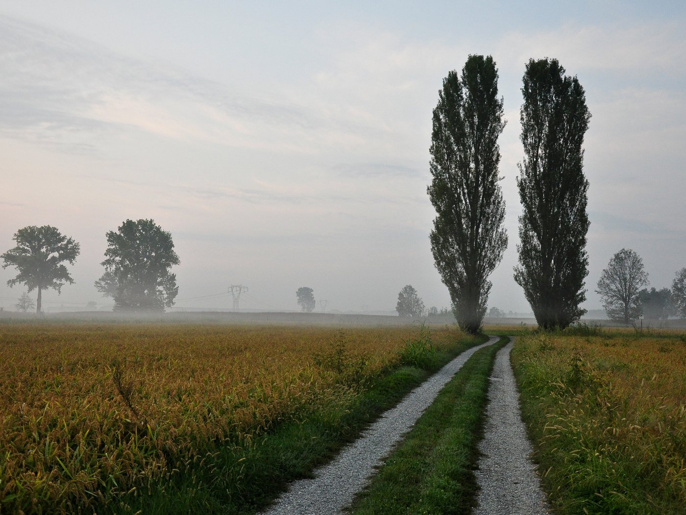 Обои небо, дорога, природа, туман, горизонт,     деревья, тополь, the sky, road, nature, fog, horizon, trees, poplar разрешение 1920x1280 Загрузить