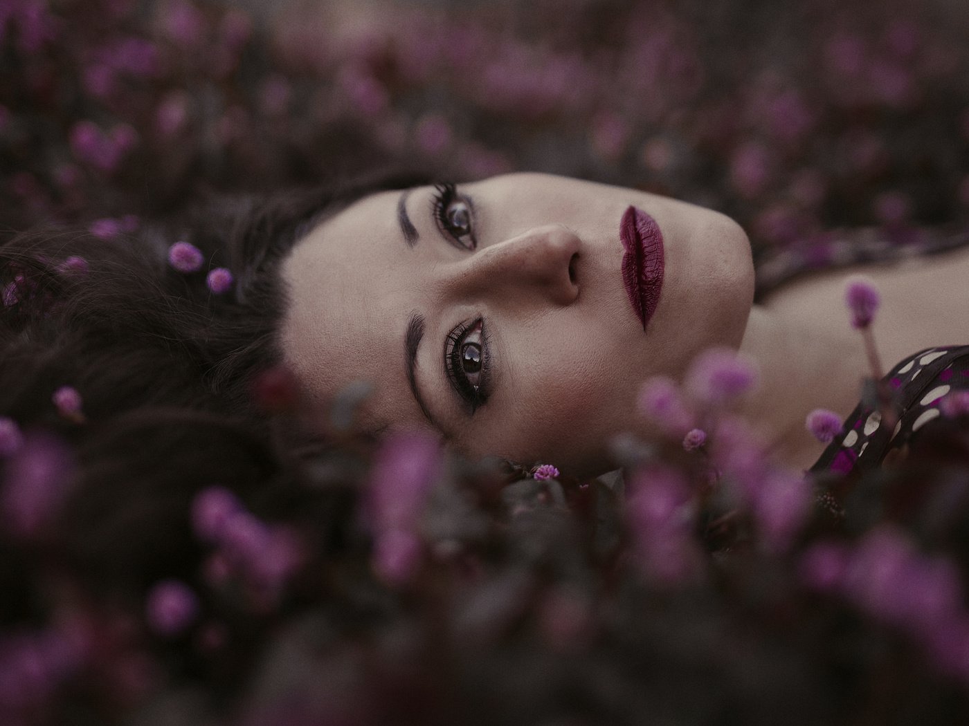 Обои цветы, девушка, взгляд, волосы, губы, лицо, mara saiz, flowers, girl, look, hair, lips, face разрешение 2048x1365 Загрузить