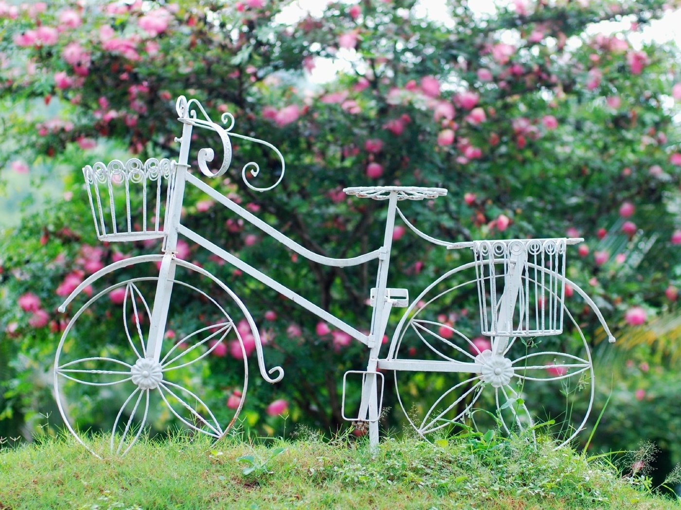 Обои цветы, трава, листья, фон, колеса, корзина, велосипед, flowers, grass, leaves, background, wheel, basket, bike разрешение 1920x1200 Загрузить