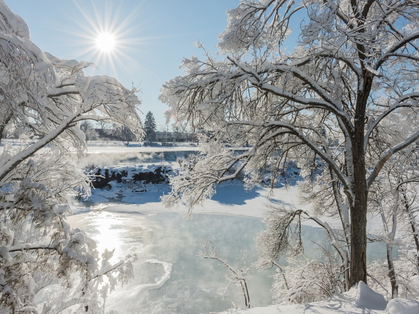 Обои деревья, снег, природа, лес, зима, лёд, trees, snow, nature, forest, winter, ice разрешение 1920x1200 Загрузить