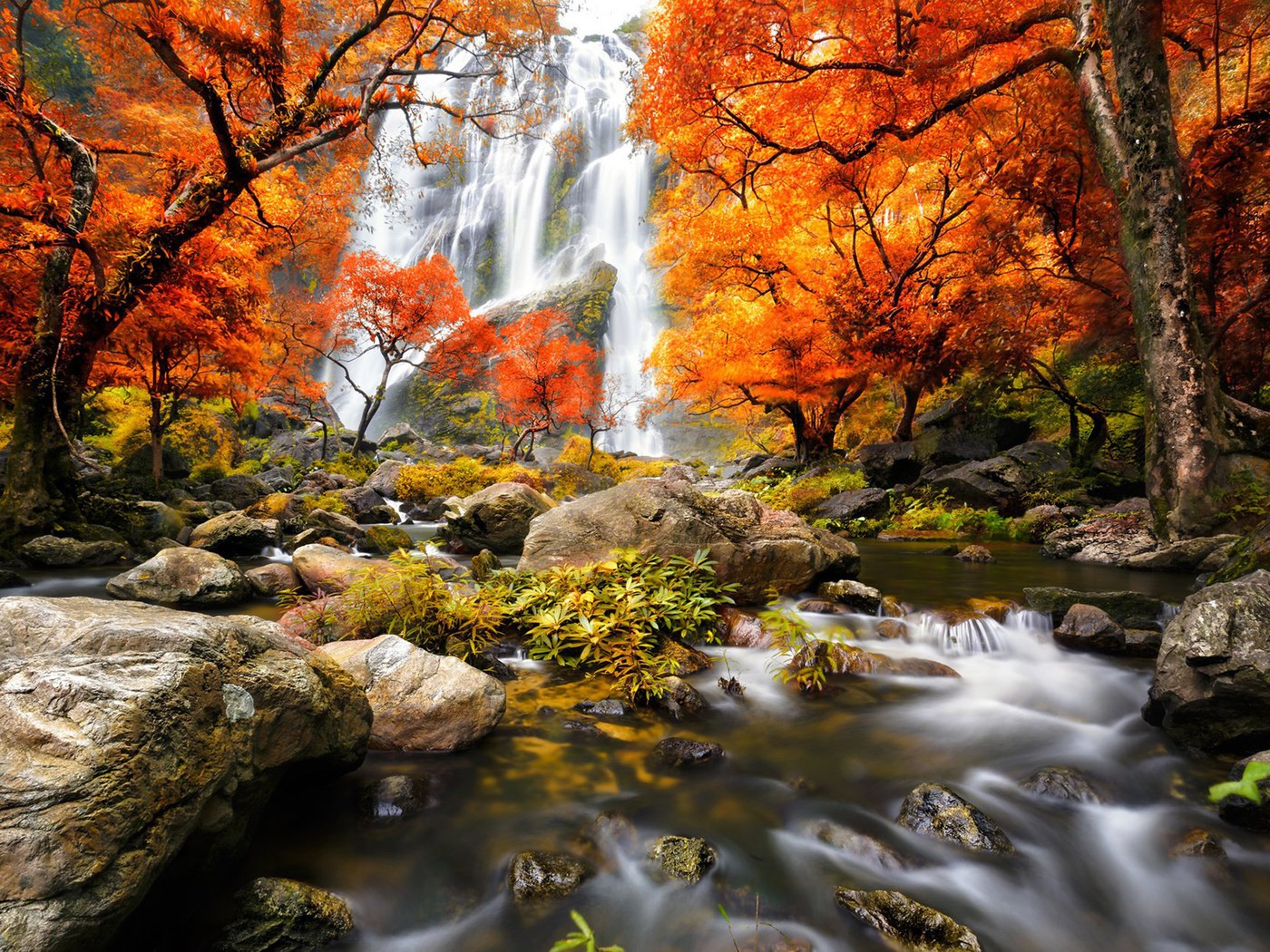 Обои трава, деревья, река, камни, лес, водопад, осень, мох, grass, trees, river, stones, forest, waterfall, autumn, moss разрешение 1920x1200 Загрузить