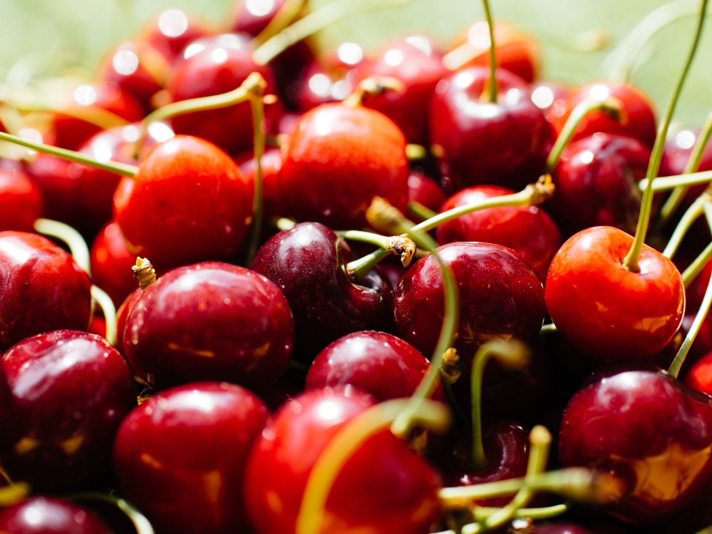 Обои макро, черешня, ягоды, вишня, много, боке, сочная, macro, cherry, berries, a lot, bokeh, juicy разрешение 6000x3375 Загрузить