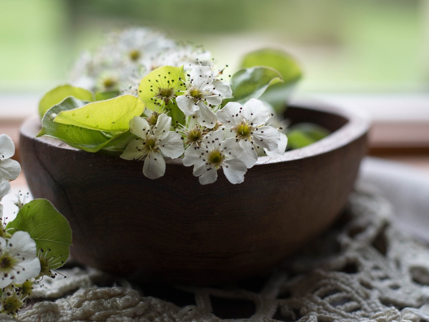 Обои цветы, цветение, листья, лепестки, весна, салфетка, груша, миска, flowers, flowering, leaves, petals, spring, napkin, pear, bowl разрешение 3600x2400 Загрузить