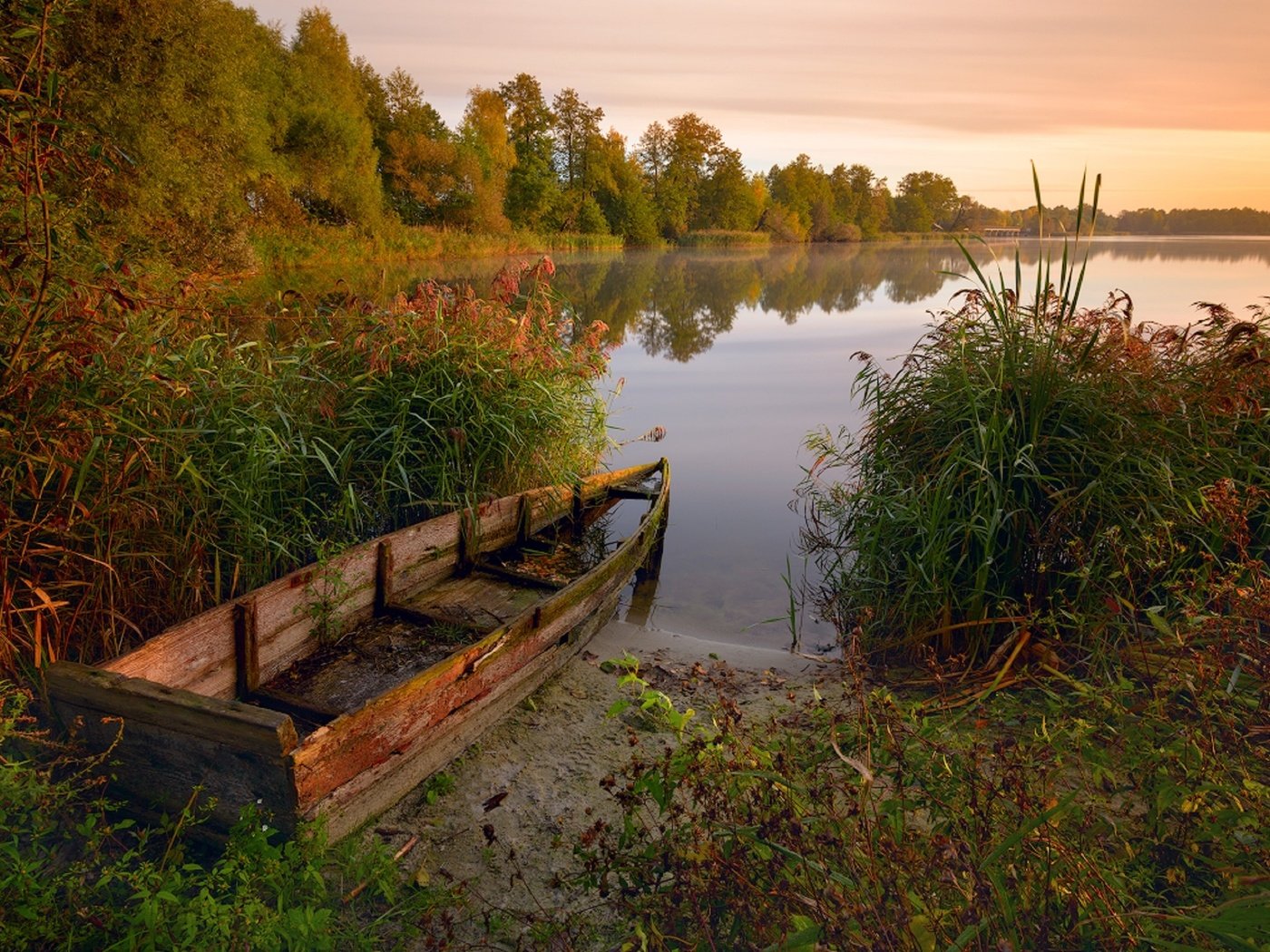 Обои деревья, озеро, растения, лес, лодка, камыши, nikonzoom, trees, lake, plants, forest, boat, the reeds разрешение 2560x1627 Загрузить