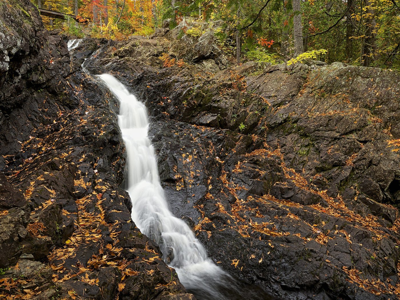 Обои деревья, листья, скала, водопад, осень, поток, trees, leaves, rock, waterfall, autumn, stream разрешение 1920x1200 Загрузить