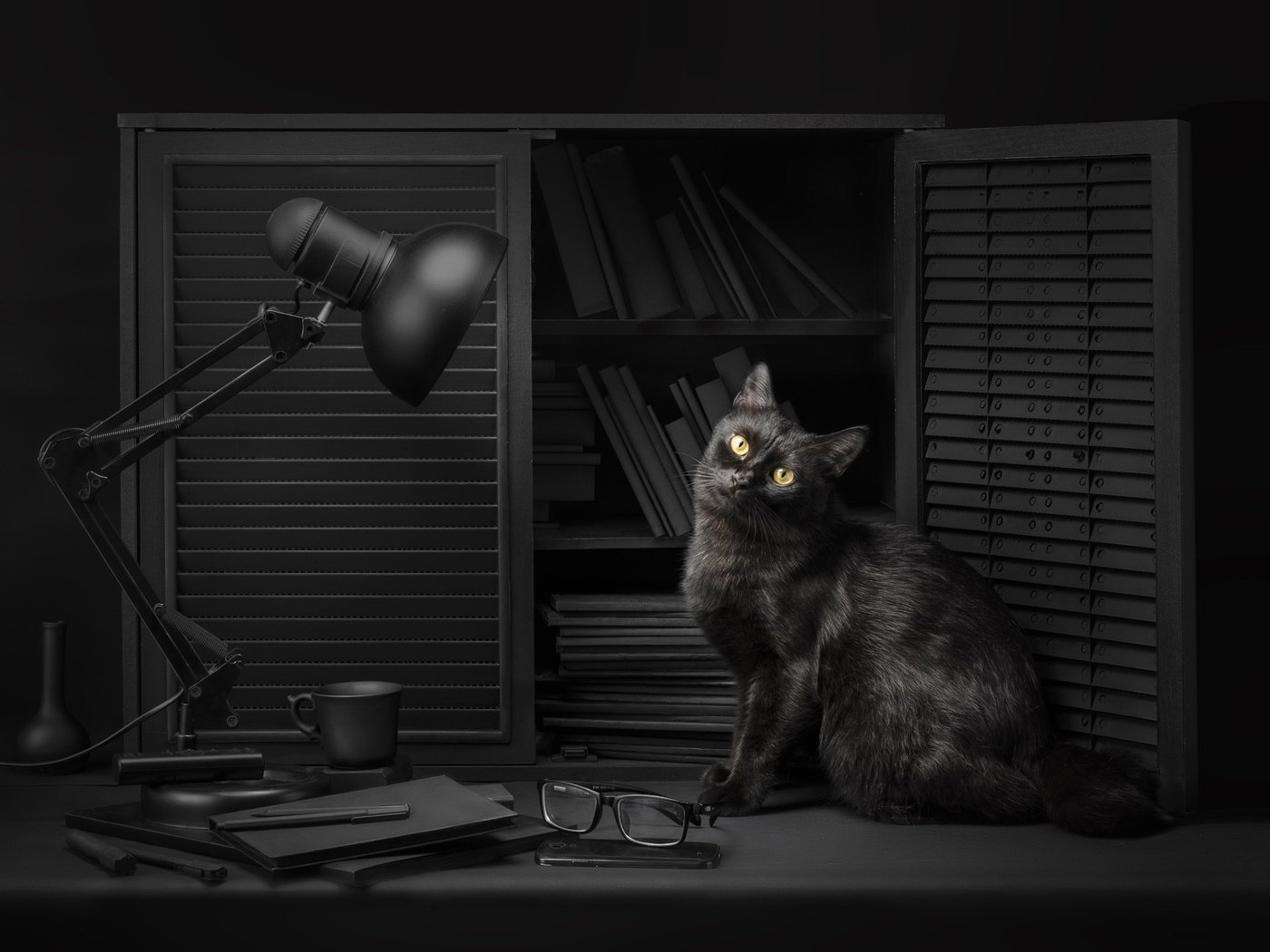 Обои глаза, библиотека, свет, чтение, фон, sanket khuntale, кот, кошка, взгляд, очки, лампа, черный, black, eyes, library, light, reading, background, cat, look, glasses, lamp разрешение 2048x1468 Загрузить