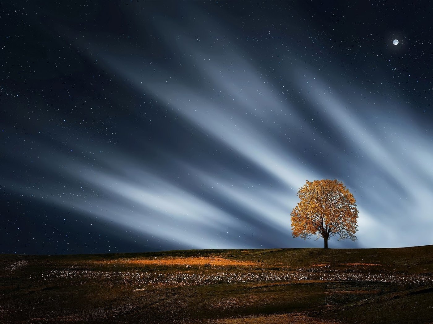 Обои ночь, природа, дерево, пейзаж, звезды, луна, night, nature, tree, landscape, stars, the moon разрешение 1920x1249 Загрузить