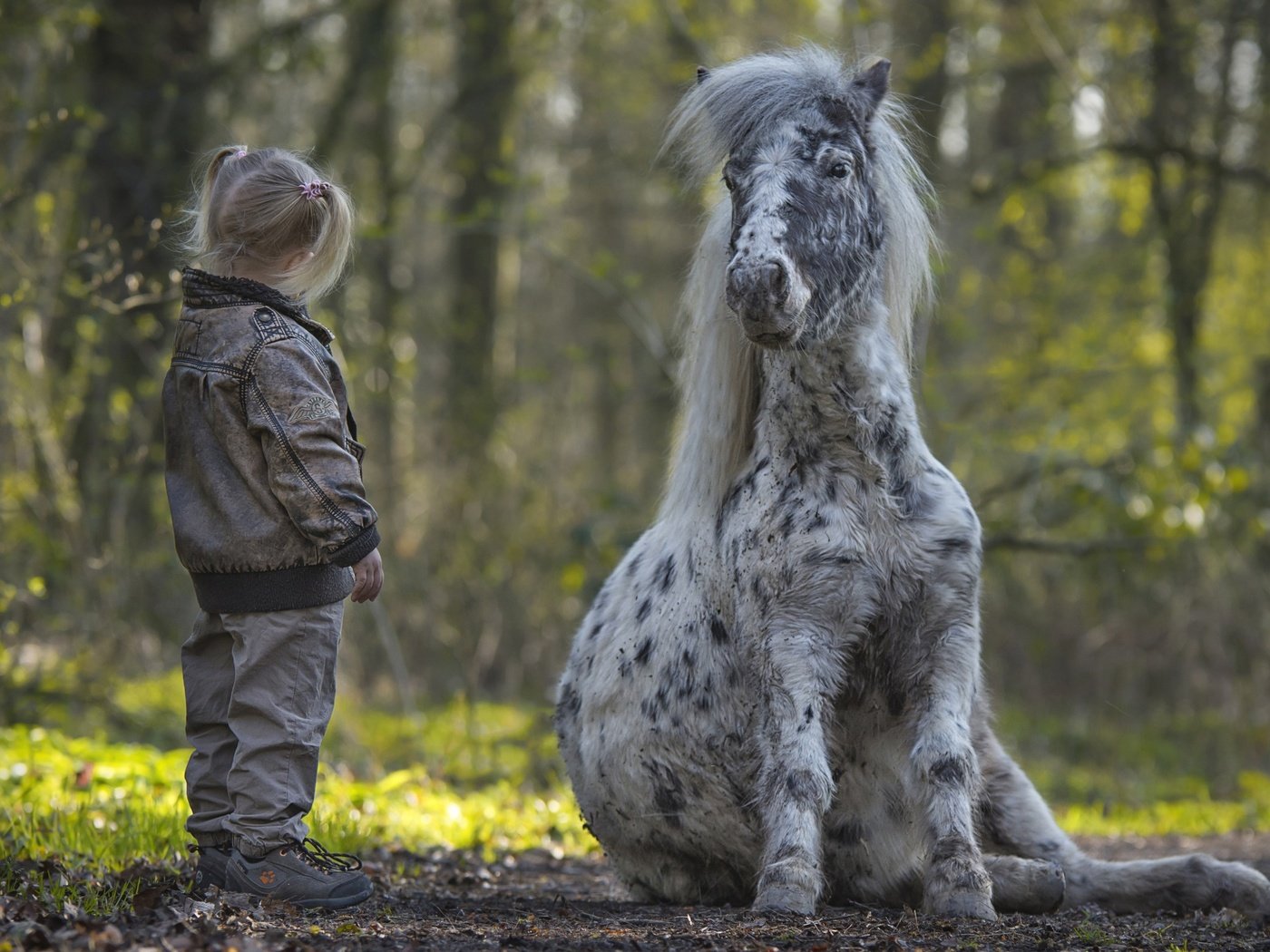 Обои деревья, природа, дети, девочка, пони, грива, лошадка, trees, nature, children, girl, pony, mane, horse разрешение 2560x1600 Загрузить