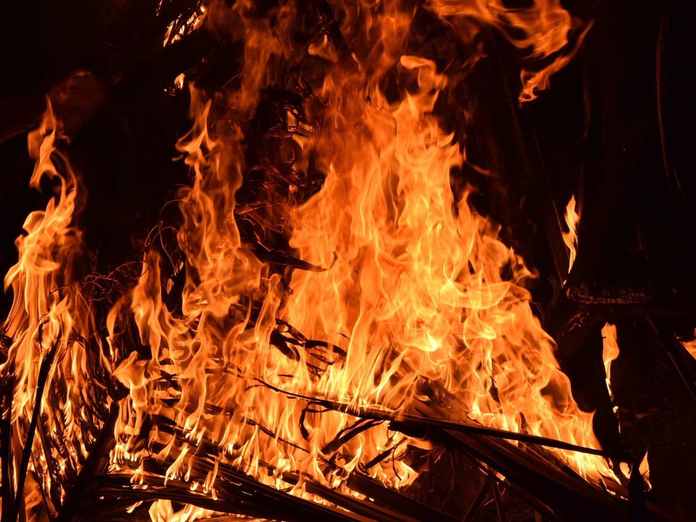 Обои пламя, огонь, костёр, flame, fire, the fire разрешение 6000x4000 Загрузить