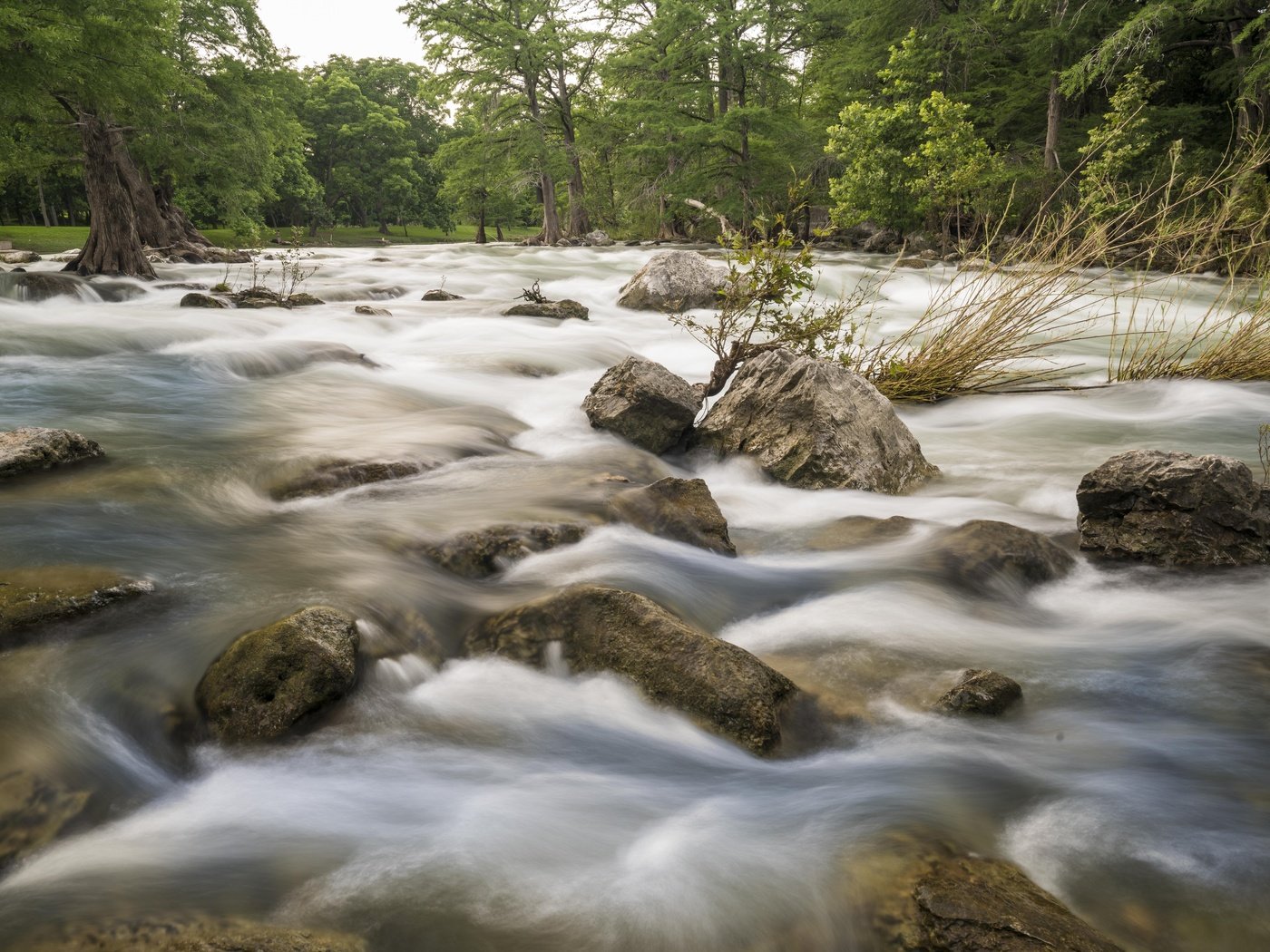 Обои деревья, вода, река, камни, поток, trees, water, river, stones, stream разрешение 7752x5304 Загрузить