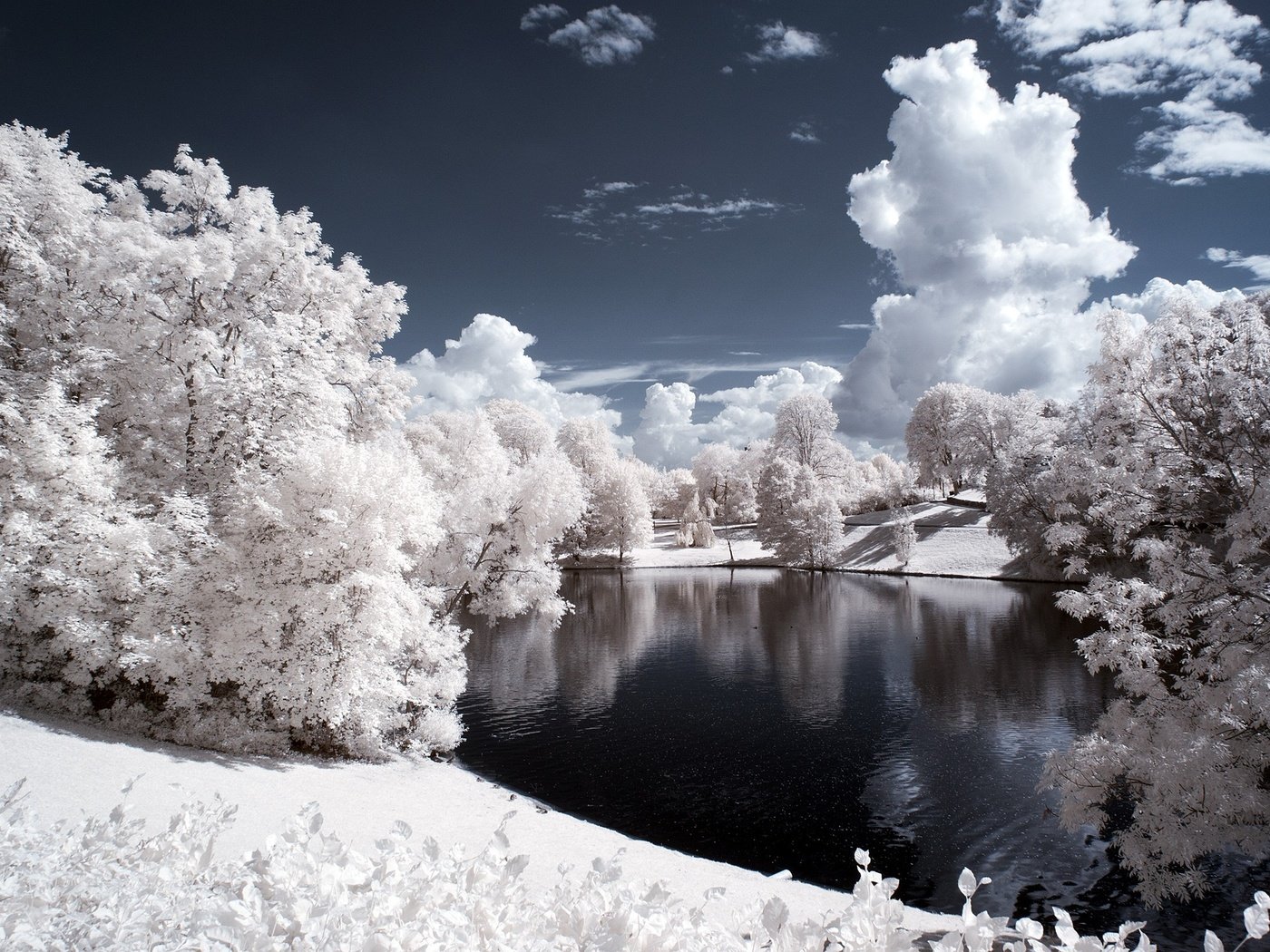 Обои небо, облака, деревья, вода, снег, природа, зима, the sky, clouds, trees, water, snow, nature, winter разрешение 2560x1600 Загрузить