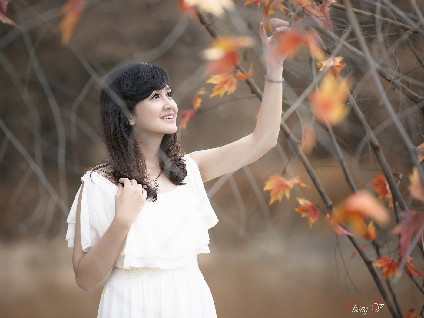 Обои природа, листья, девушка, осень, азиатка, nature, leaves, girl, autumn, asian разрешение 1920x1200 Загрузить